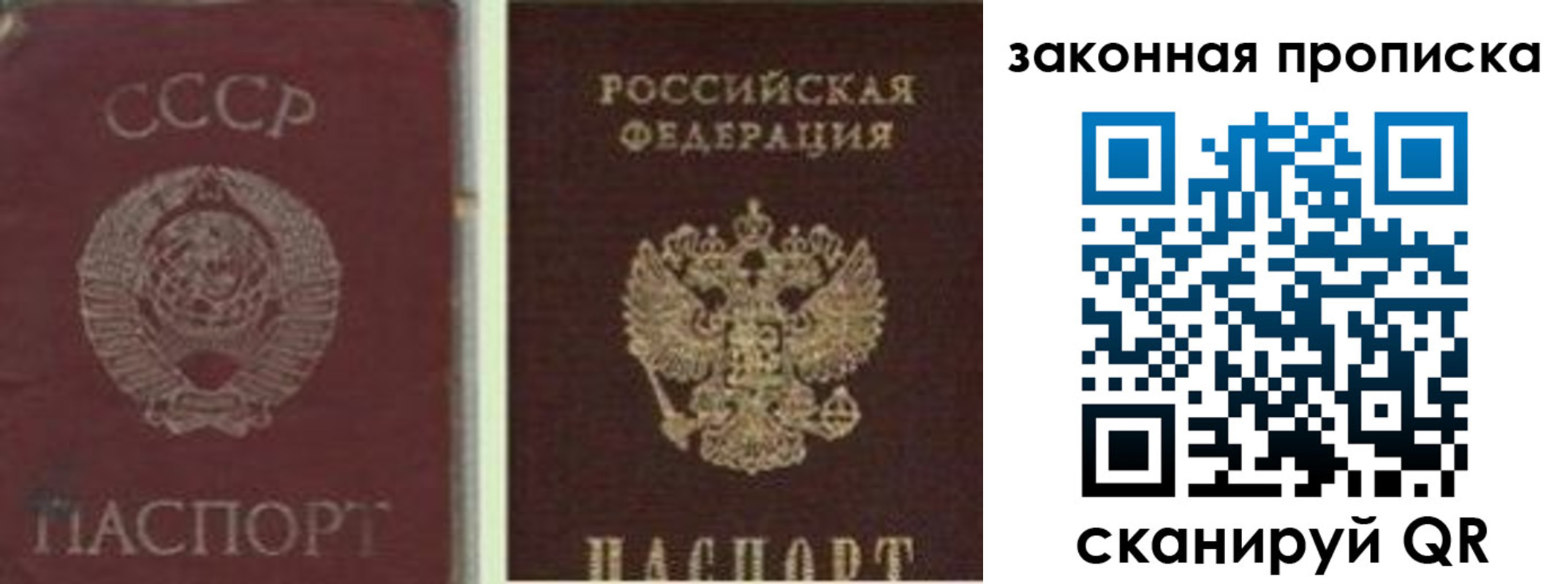прописка для работы в Вязьме